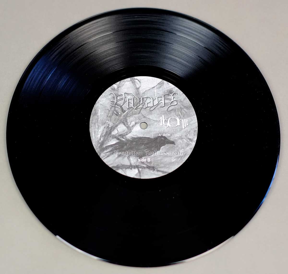 Photo of 12" LP Record Side Two VIDSYN	- On Frostbitten Path Beneath   Vinyl Record Gallery https://vinyl-records.nl//