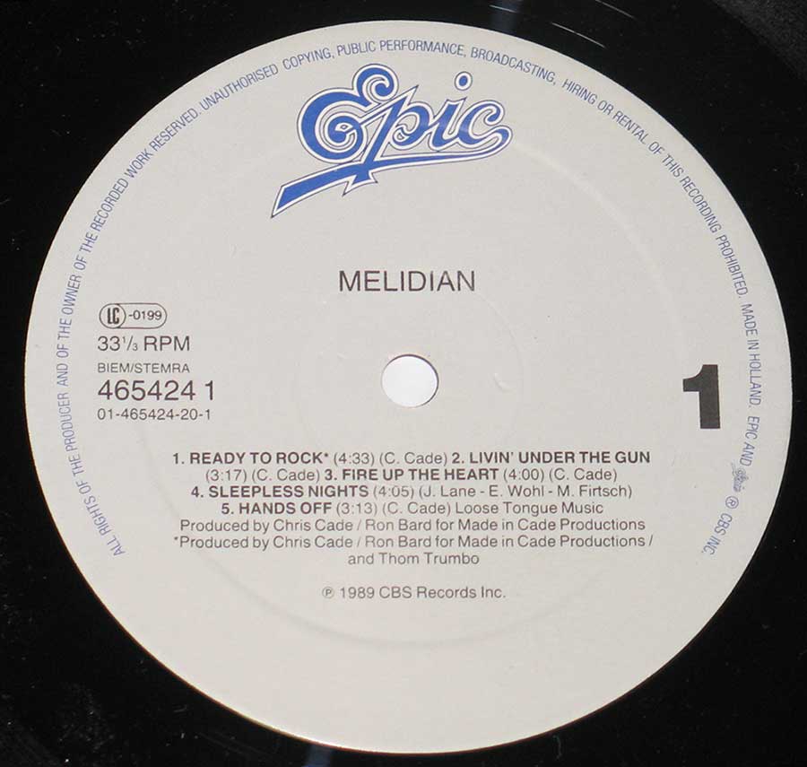 Close up of record's label MELIDIAN - Lost in the Wild Side One
