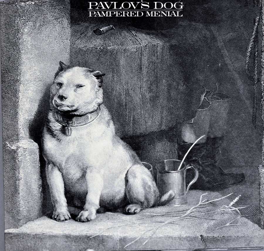 PAVLOV'S DOG - Pampered Menial Gatefold 12" LP VINYL Album front cover https://vinyl-records.nl
