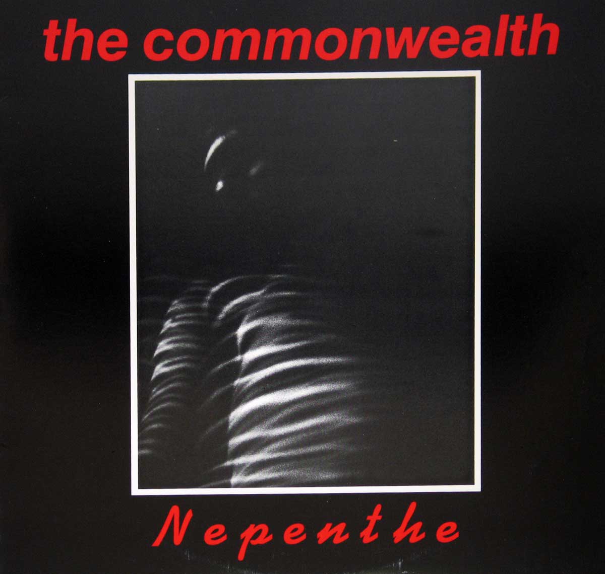 large album front cover photo of: COMMONWEALTH NEPENTHE TRANSPARENT 