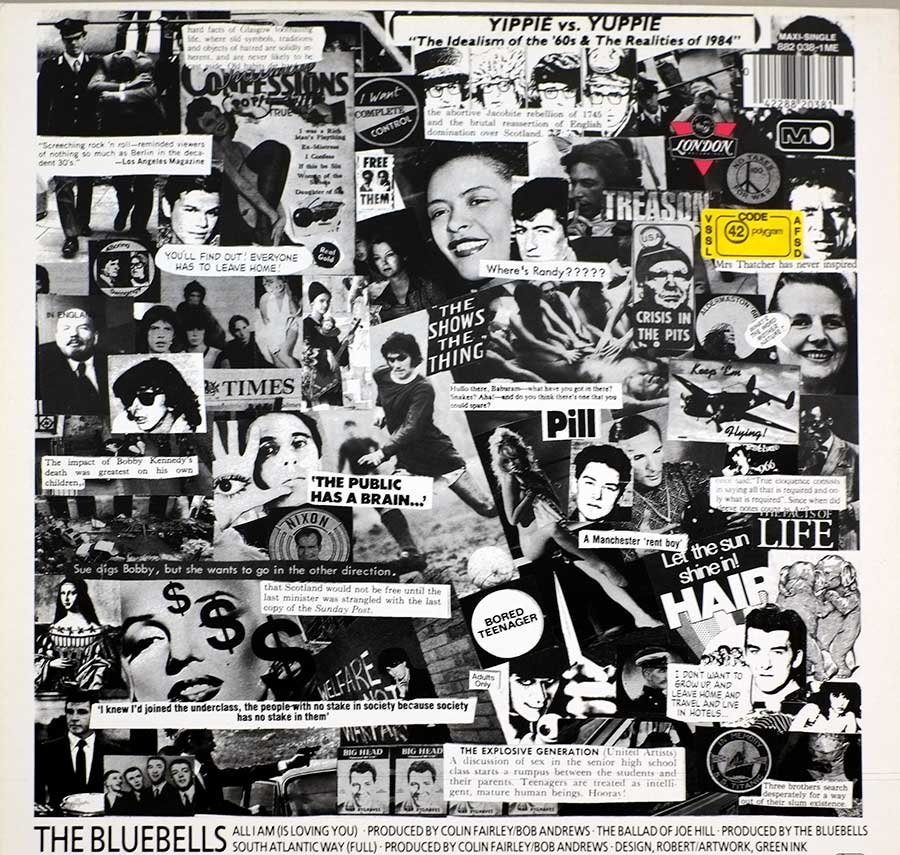 Photo of album back cover THE BLUEBELLS – All I Am 