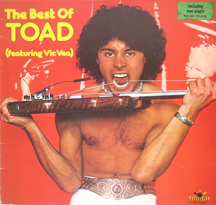 TOAD - Best of Toad Swiss Psych Prog Brainticket 12" Vinyl LP Album front cover https://vinyl-records.nl