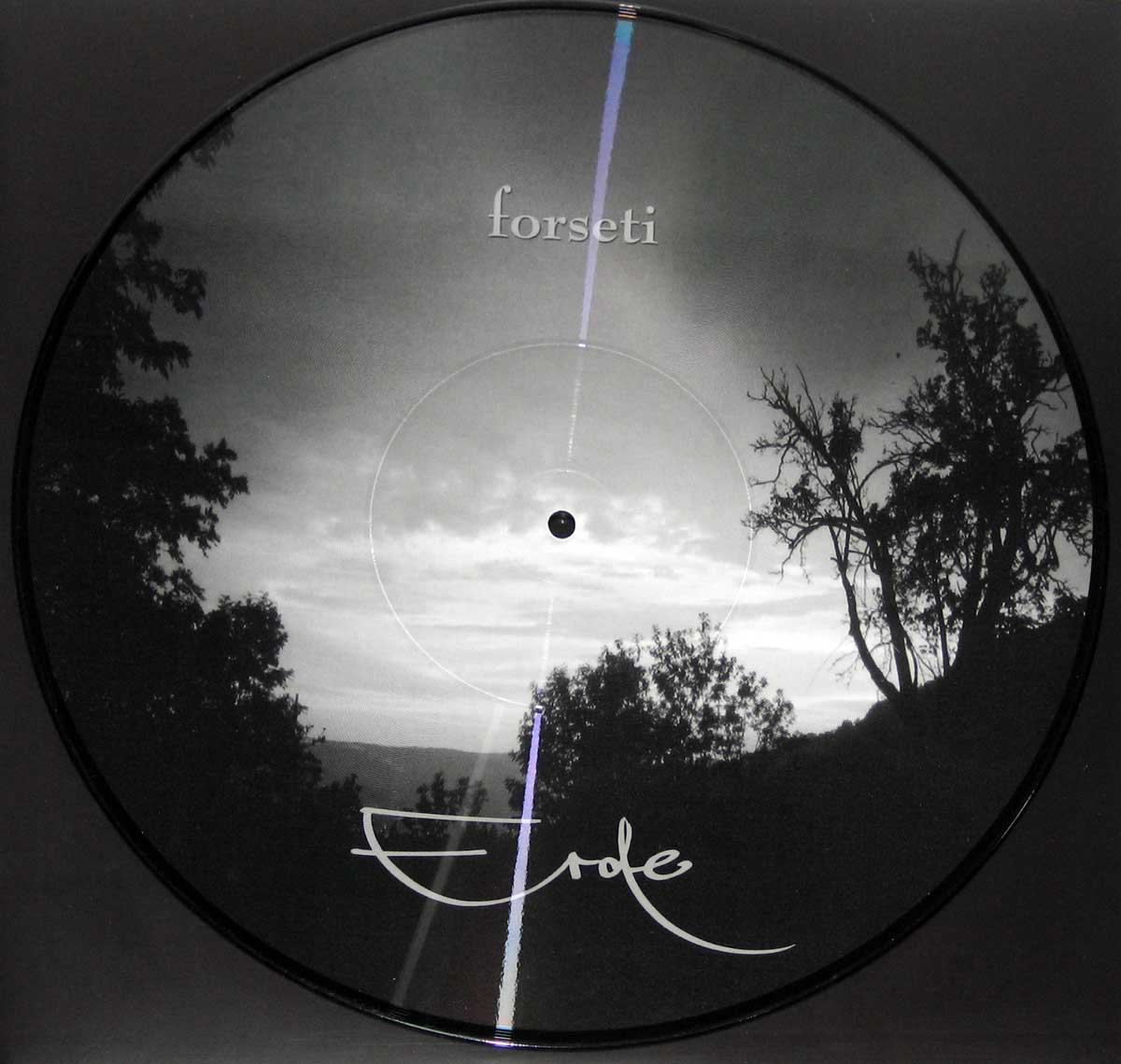 Close-up Photo of "Forseti Erde" Picture Disc 