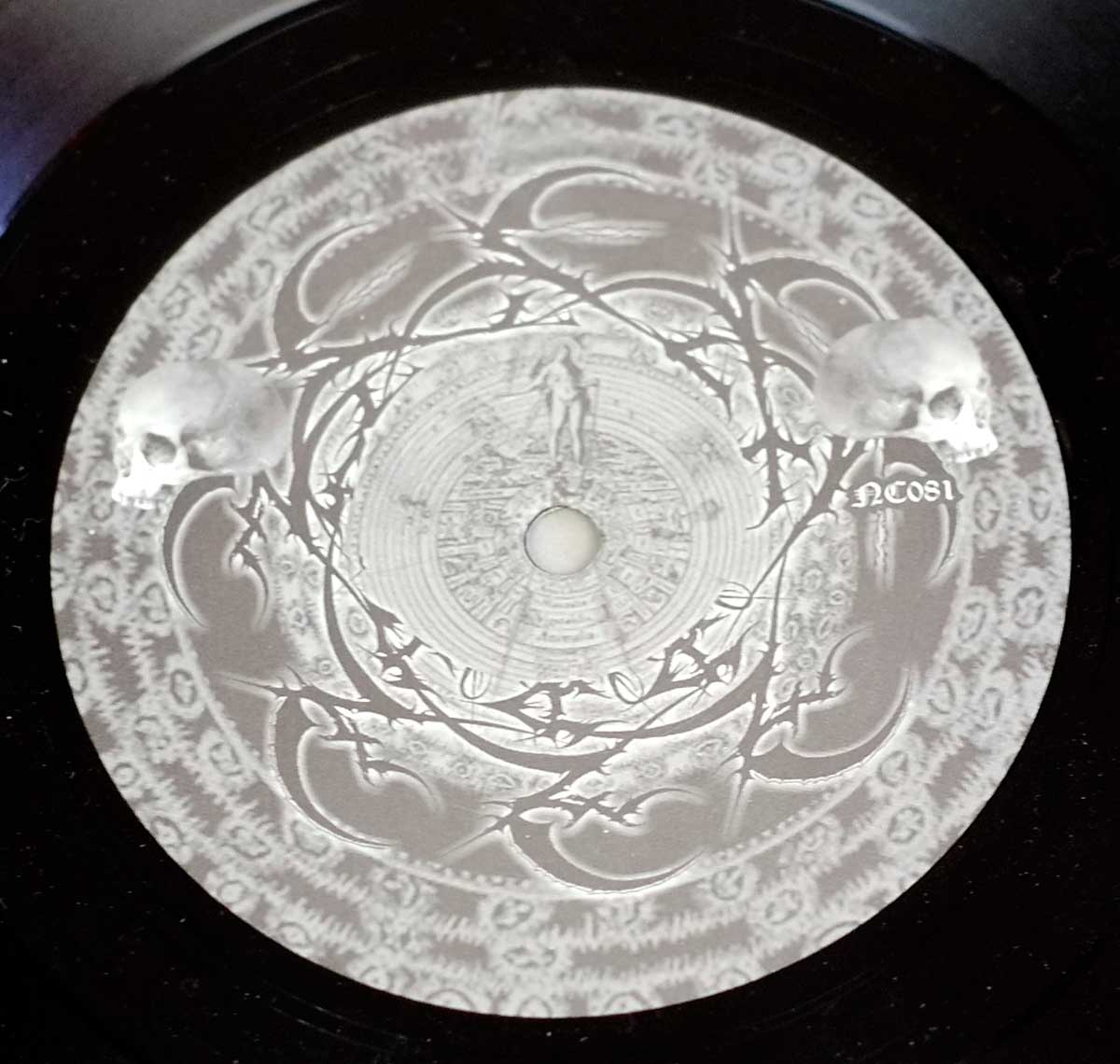 Close-up on the Illustration on the record label  