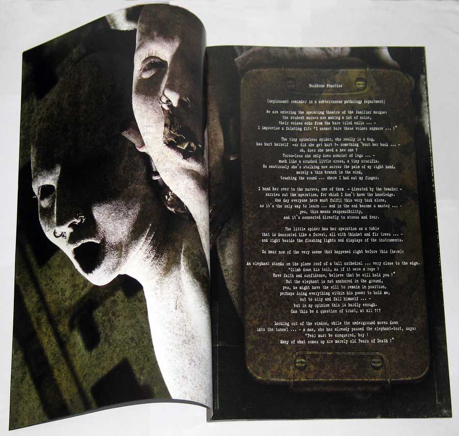 SOPOR AETERNUS - La Chambre d'Echo Anna Varney 12" Vinyl Picture Disc LP Album custom inner sleeve