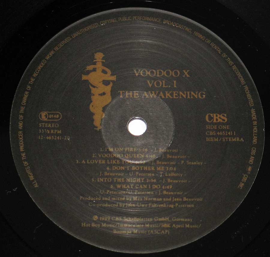 Close up of record's label Voodoo X - Vol 1 The Awakening 12" Vinyl LP Album Side One