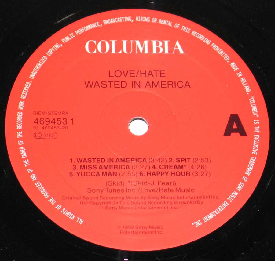 Love Hate Wasted In America American Hard Rock Heavy Metal 12 Lp Vinyl Album Cover Gallery Information Vinylrecords