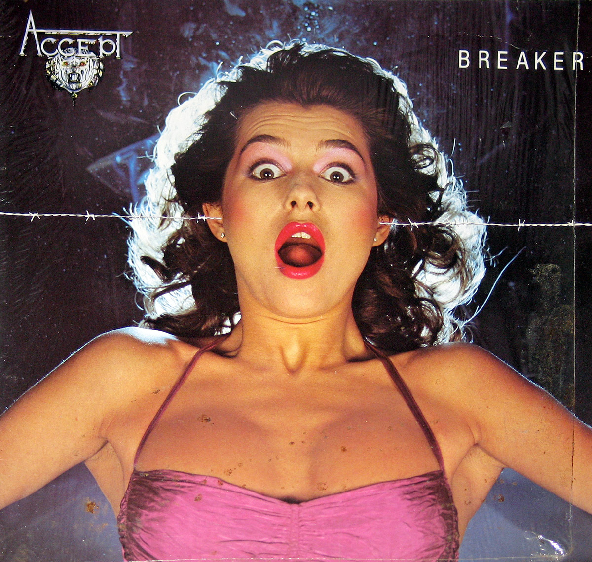Album Front Cover Photo of ACCEPT - Breaker 