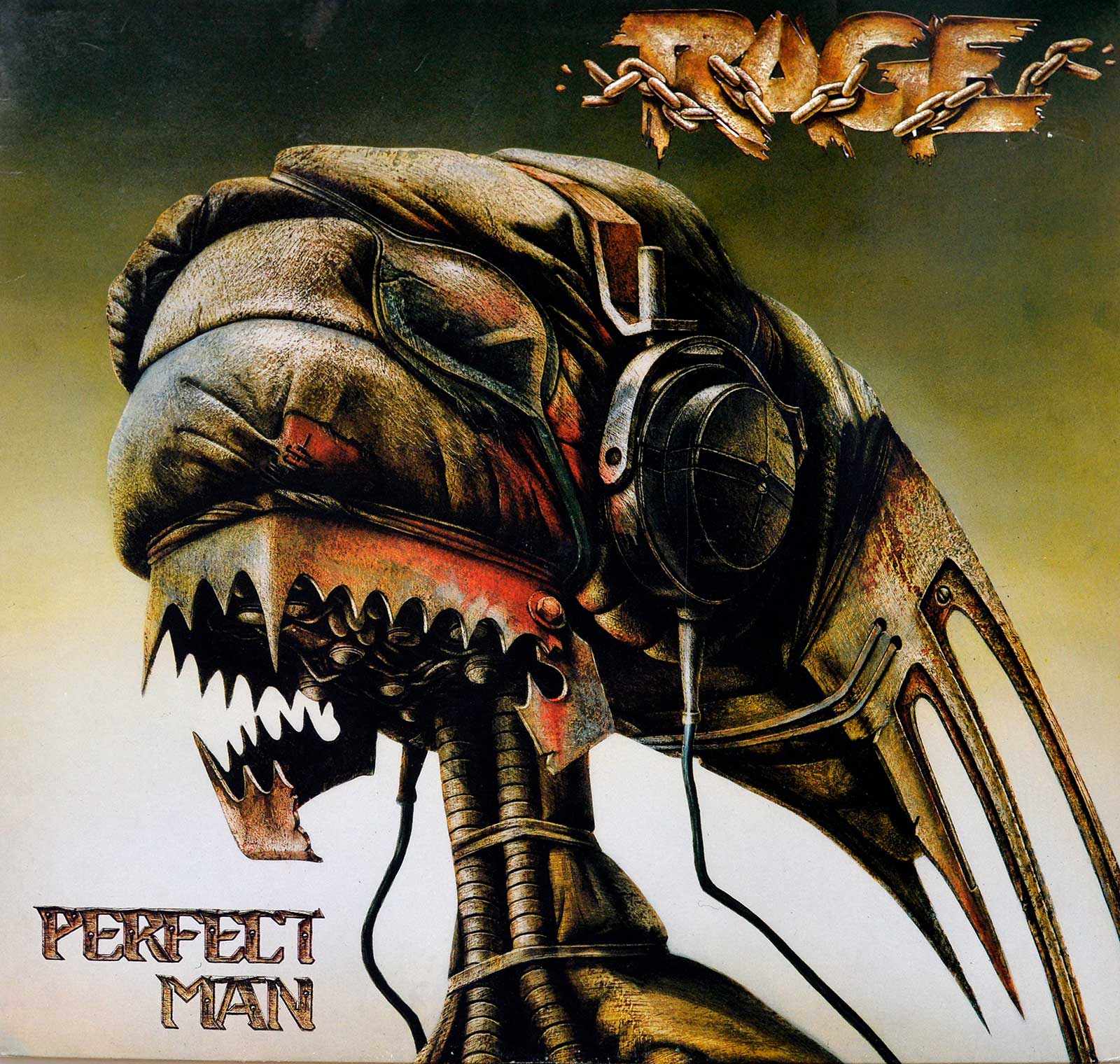 large album front cover photo of: Perfect Man by RAGE