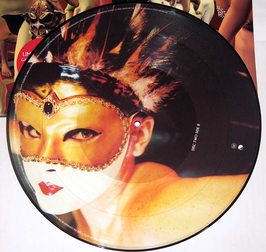 Photo of Side Three of IRON MAIDEN - Dance of Death (Double 2x12" Picture Disc) 