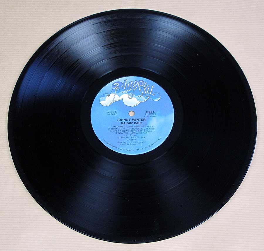 JOHNNY WINTER - Raisin Cain 12" Vinyl LP Album  vinyl lp record 