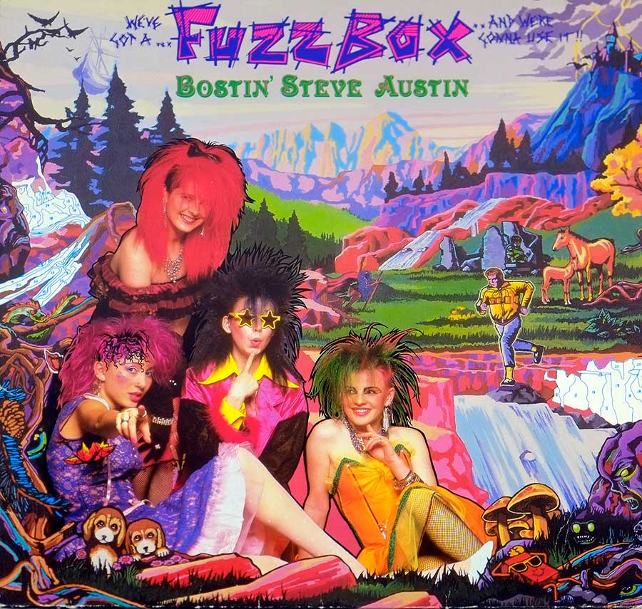 Front Cover Photo Of WE'VE GOT A FUZZBOX AND WE'RE GONNA USE IT – Bostin' Steve Austin 12" LP Album Vinyl 