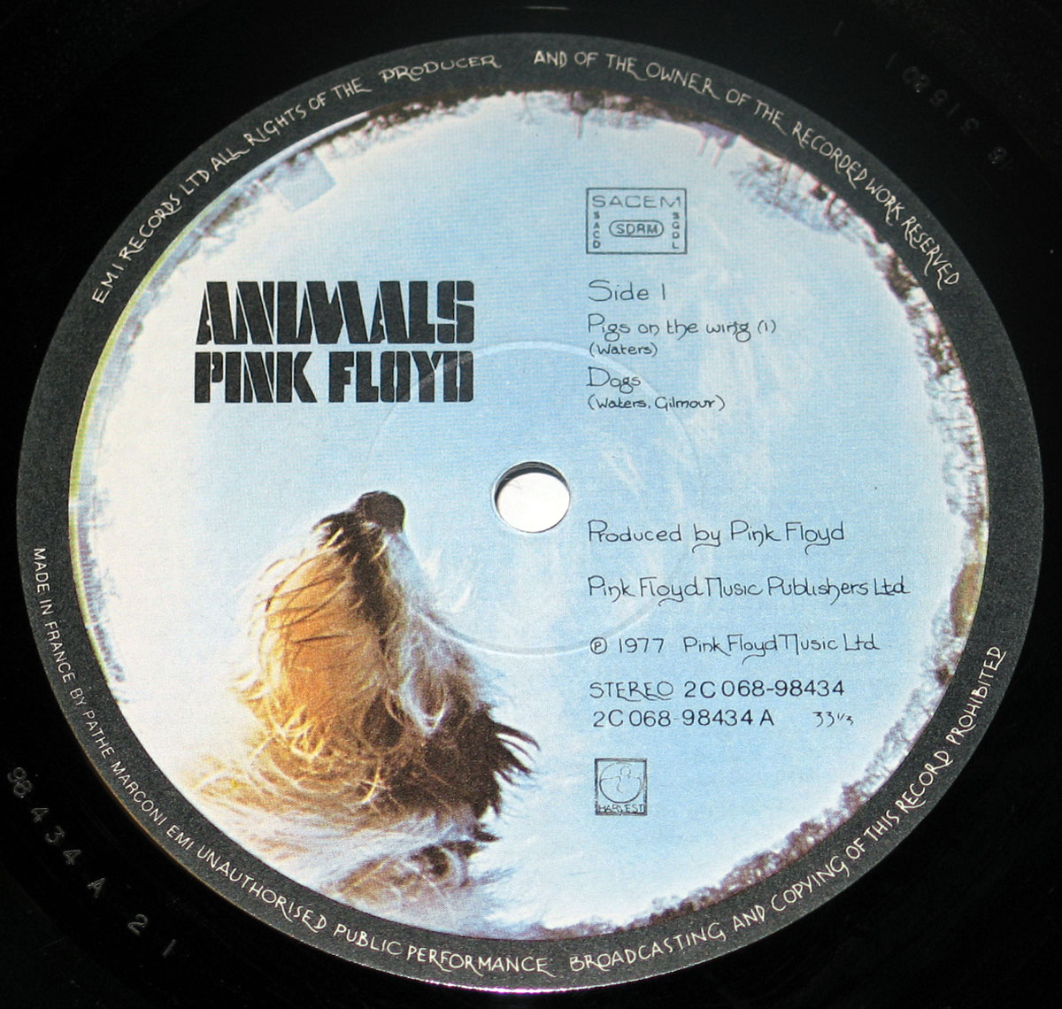 High Resolution Photo #5 Pink Floyd Animals France  