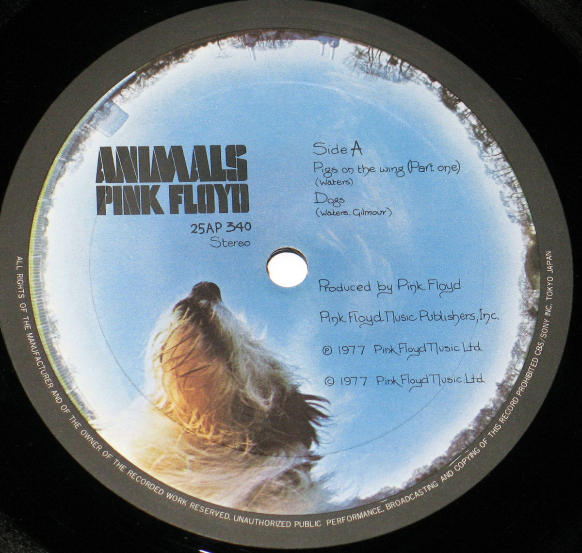 High Resolution Photo #4 Pink Floyd Animals Japan OBI 