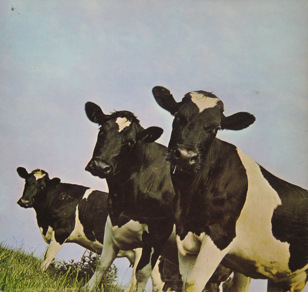 PINK FLOYD Atom Heart Mother 3rd UK Album Cover Gallery & 12 