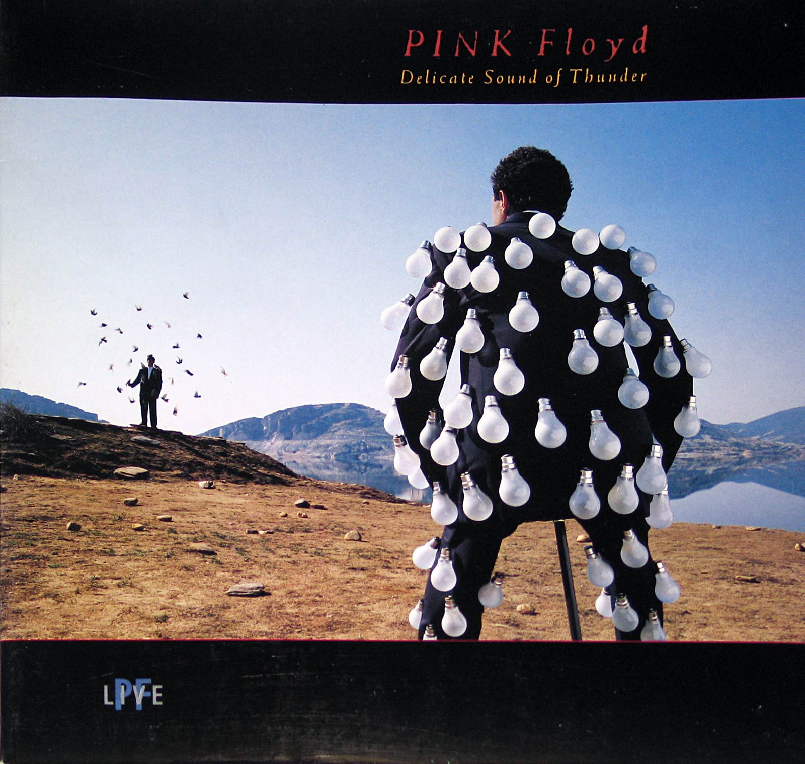 Album Front Cover Photo of Photo of PINK FLOYD Delicate Sound of Thunder 