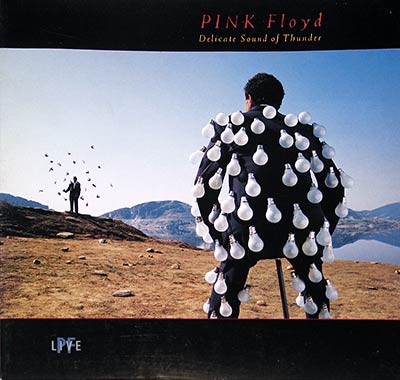 PINK FLOYD - Delicate Sound of Thunder  album front cover