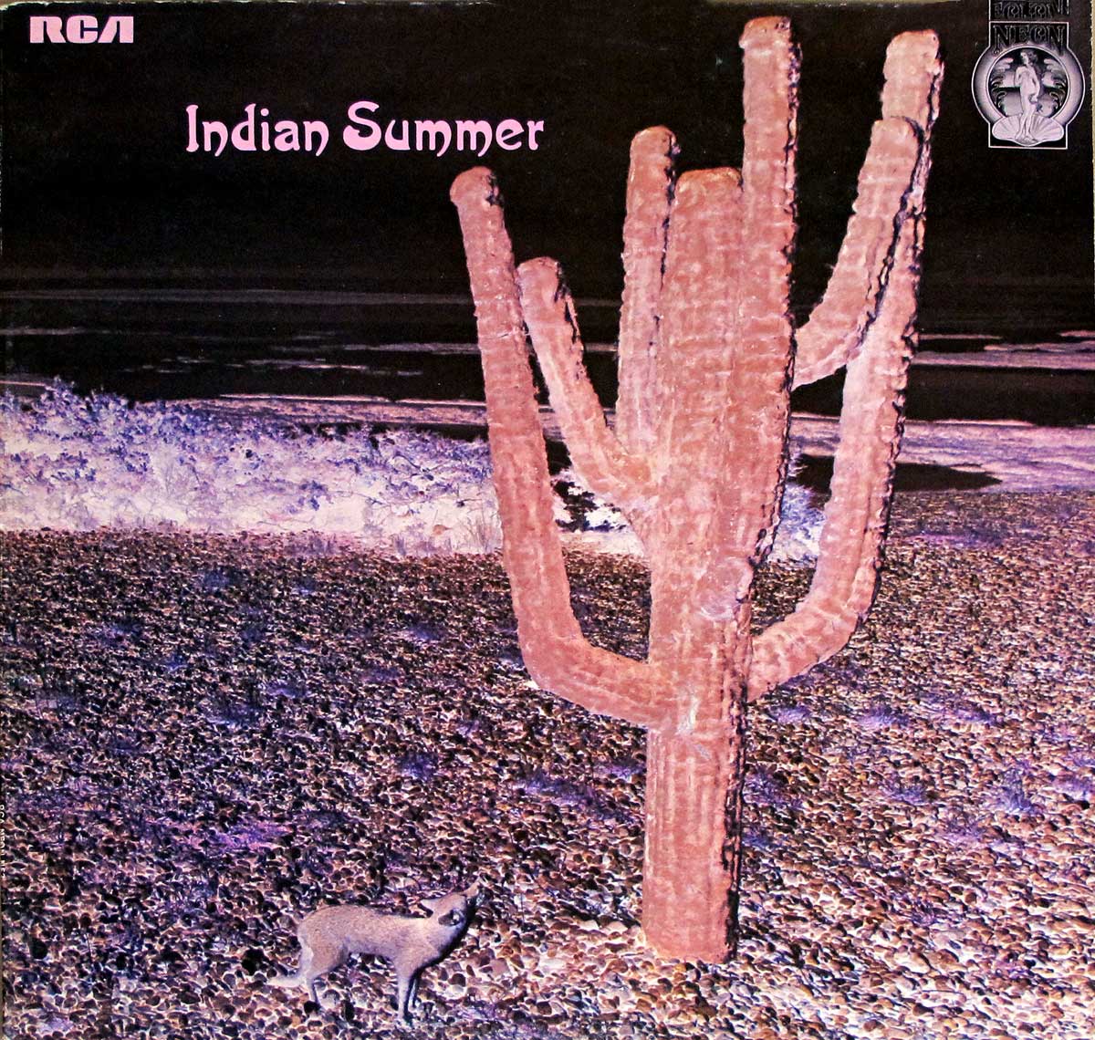 High Quality Photo of Album Front Cover  "INDIAN SUMMER - Self-Titled NEON NE 3"
