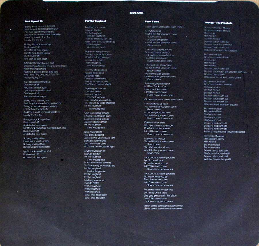 PETER TOSH - Bush Doctor Italian Release 12" LP Vinyl Album
 custom inner sleeve