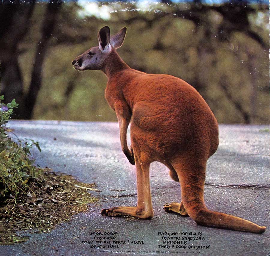 Photo of album back cover PETER KAUKONEN - Black Kangaroo Gatefold 12" LP Vinyl Album