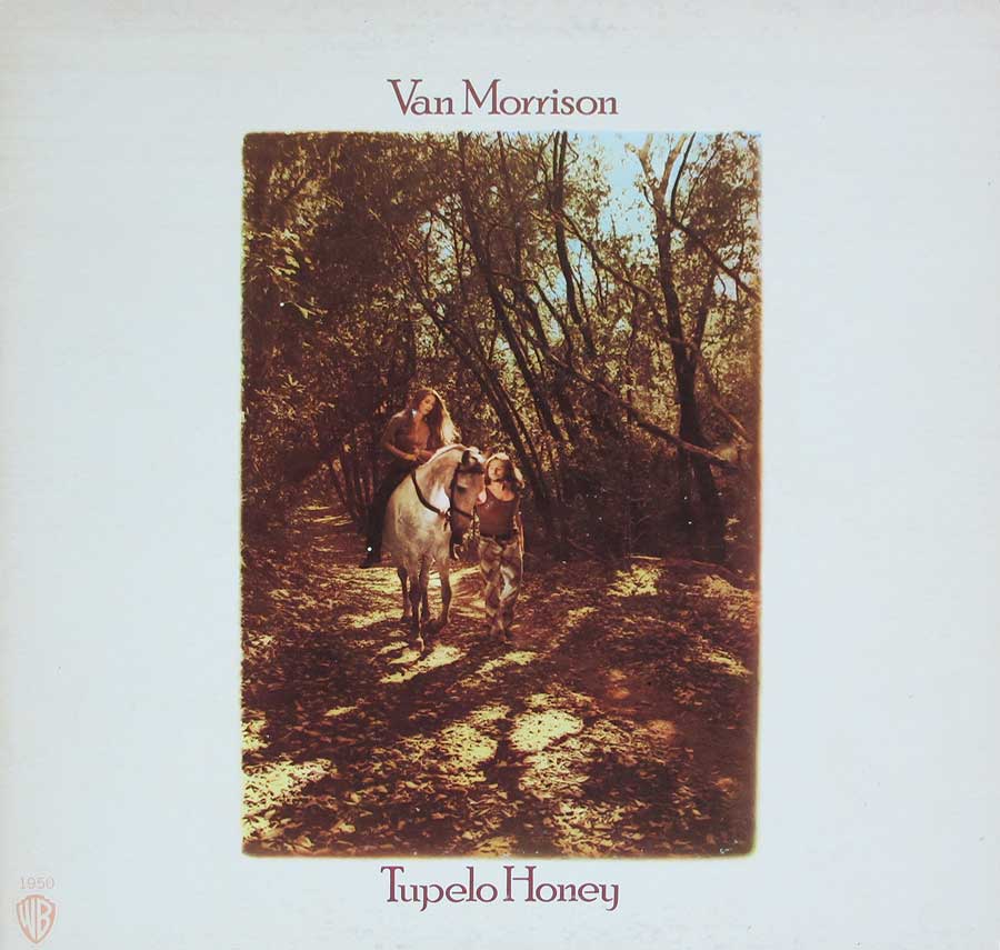large album front cover photo of: VAN MORRISON - Tupelo Hone 