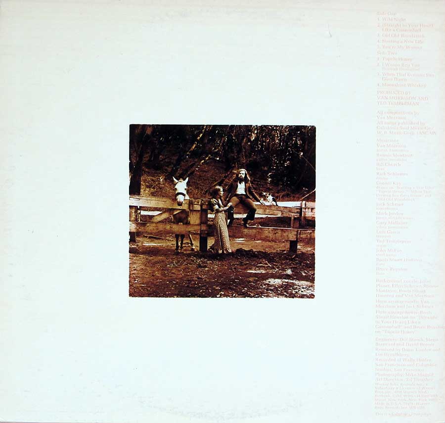 Photo of album back cover VAN MORRISON - Tupelo Honey